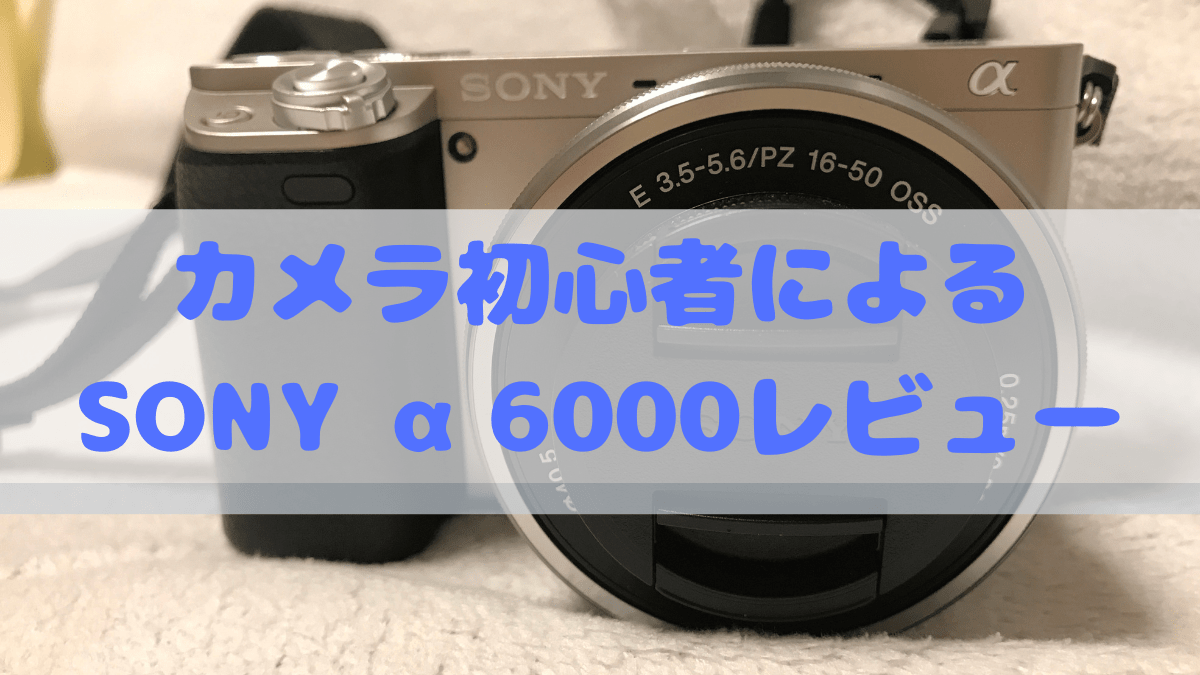 カメラ デジタルカメラ 初心者レビュー】SONYα6000はどんな写真が撮れる？買うべき付属品もご 